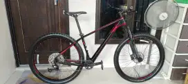 Syncline C3 Carbon 12 speed mantabb