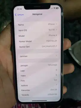 iPhone X 256 GB