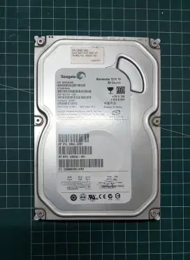 Hardisk 80G normal mulus