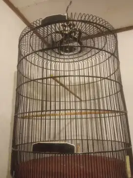Kandang murai no 2 murah meriah