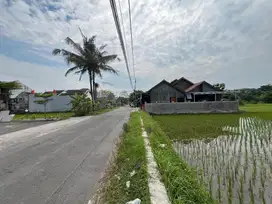 Investasi Kost Dekat UMY & UPY, Kavling Kotak Lebar 15 Meter