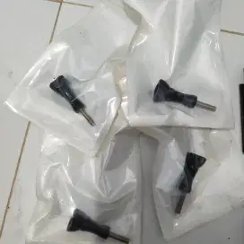 Go pro asesoris screw