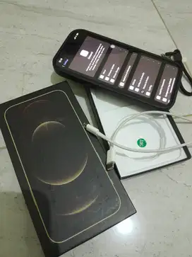 IPHONE 12 PRO MAX 128GB EX INTER (NEGO SAMPE JADI)