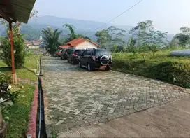 Jual Tanah Dalam Kawasan Wisata Alam Puncak 2 Bogor