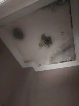 Tukang perbaikan atap bocor dinding dak rembes talang air cat renovasi