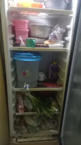 Soft Casie siap pakai