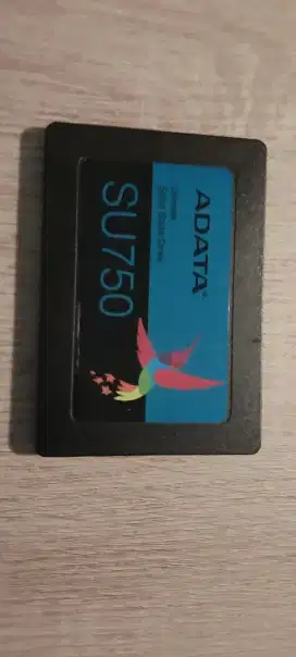 SSD ADATA SU750 Error