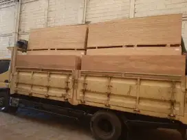 Plywood MURAH apik