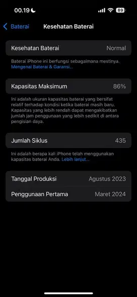 Iphone 256 GB ibox istimewa fullset