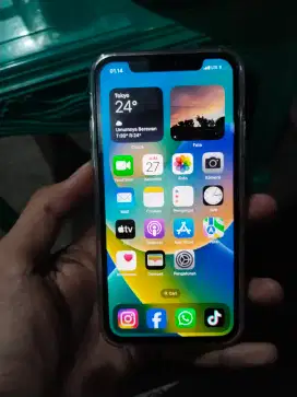 IP X 256GB INTER ALLOP