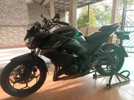 Kawasaki Z 350 Tahun 2013