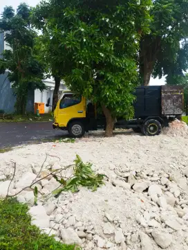 Limestone / Batu Pedel / Batu Kapur