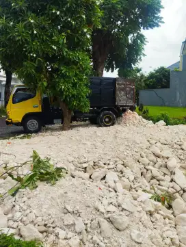 Limestone / Batu Pedel / Batu Kapur