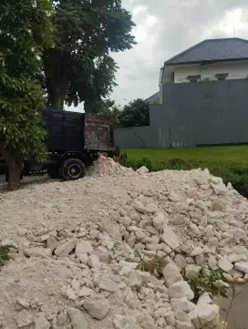 Limestone / Batu Pedel / Batu Kapur