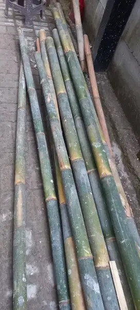 Jual Kayu Bambu Untuk Esteger Pembangunan Rumah