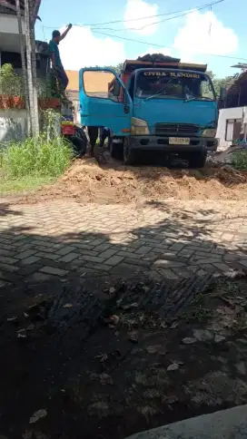 Paras / Urug / Padas
