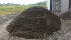 Pasir Lumajang/Pasir Kediri/Pasir Pasang/Pasir Cor/Pasir Plester