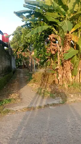 Dijual tanah shm pekarangan brimob jl imogiri timur masuk200 meter