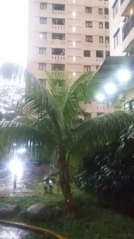 Dijual Apartemen Kebagusan City | Jakarta Selatan