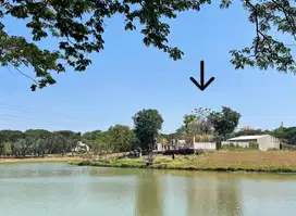 LANGKA & TERMURAH TANAH/KAVLING VIEW DANAU MERLION CITRALAND