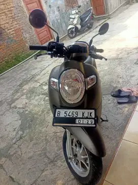Honda Scoopy stylish 2018