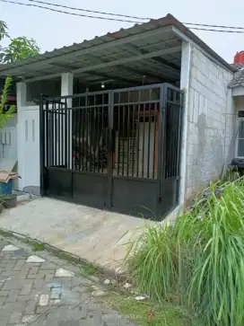Canopy alderon 10000