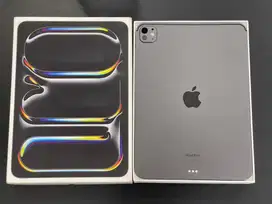 Ipad Pro M4 2024 11inch 256Gb WIFI