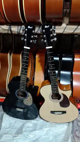 Gitar cort medium