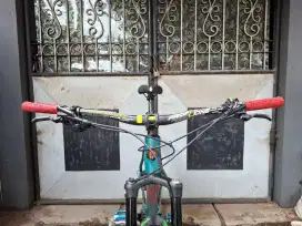Polygon Xtrada 6