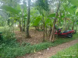 Jual tanah kosong Murah