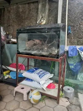 Aquarium ikan Hias 1 set dgn meja/rak