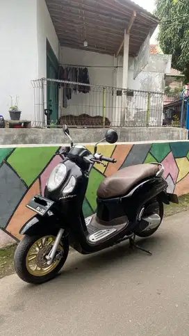 HONDA SCOOPY 2021