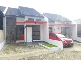 Rumah bebas banjir di cagar alam depok