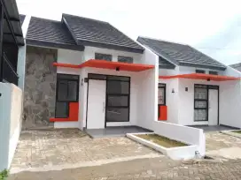 Rumah bebas banjir di cagar alam depok
