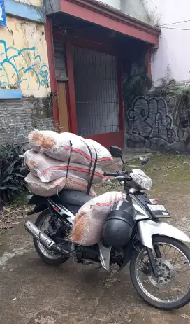 Sabut Kelapa Coco Fiber Media Tanam dll
