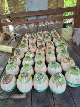 Kelapa Kopyor fresh