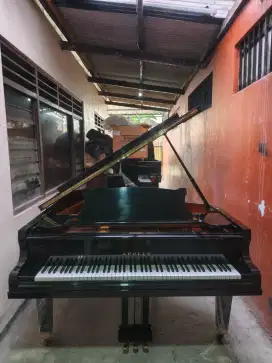 Grand Piano Apollo Buatan Jepang
