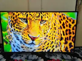 TV SMART DIGITAL LG 43 INCH NO MINUS