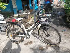 Sepeda Phoenix Perempuan