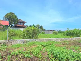 Bangun Kost, Beli Kvaling Hanya 2KM IPB Dramaga