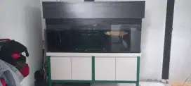 JUAL AQUARIUM DAN IKAN ARWANA
