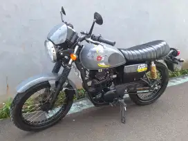 Kawasaki W 175 Cafe Racer 2024