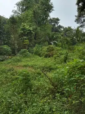 Di jual Tanah Kavling