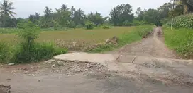 Tanah Pemda Sleman View Sawah & Gn Merapi Cocok utk Villa Resto Hunian