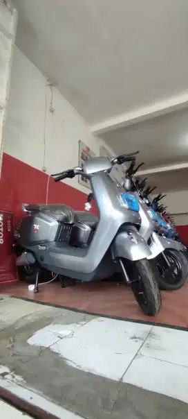 Sepeda listrik T75