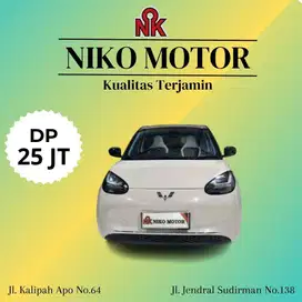 (SPT BARU KM1RB) BINGUO EV 410 PREMIUM RANGE 2024/2025 AT