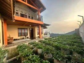 Villa ciwidey di alam endah
