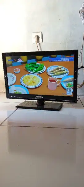 Led Skaytron 20in