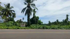 Tanah kavling 12Ha di Ringroad 3 Kalasey