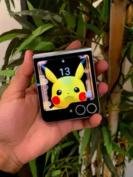 SAMSUNG GALAXY Z FLIP 6 SEIN